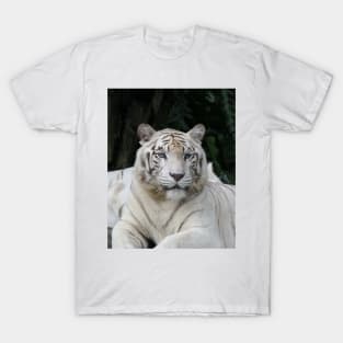 Regal T-Shirt